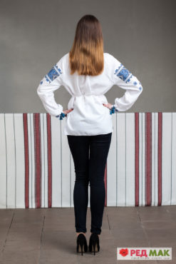 Біла сорочка з синьою вишивкою